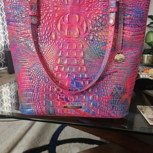 Brahmin Ezra tote